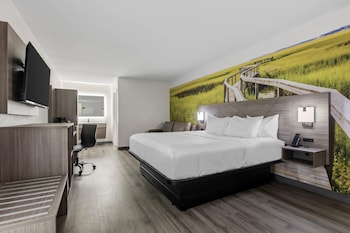 Room, 1 King Bed with Sofa bed, Non Smoking