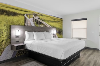 Room, 1 King Bed, Accessible, Non Smoking