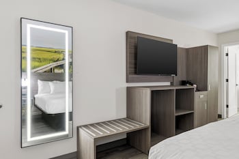 Room, 1 King Bed, Accessible, Non Smoking