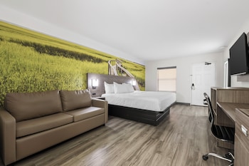 Room, 1 King Bed with Sofa bed, Non Smoking
