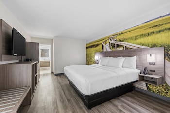 Room, 1 King Bed, Accessible, Non Smoking