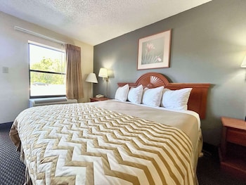 Room, 1 King Bed, Accessible, Non Smoking