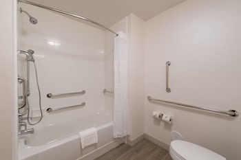 Room, 1 King Bed, Accessible, Bathtub