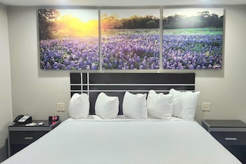 Room, 1 King Bed, Accessible, Smoking