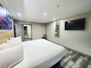 Suite, 1 King Bed, Non Smoking (One-Bedroom)