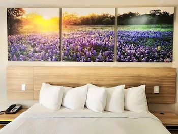Room, 1 King Bed, Accessible, Smoking