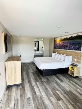 Room, 1 King Bed, Accessible, Smoking