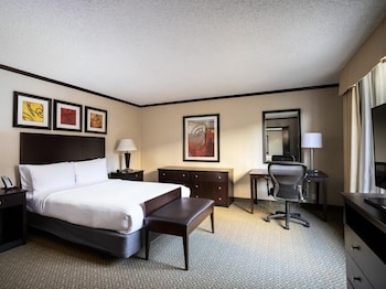 Suite, 1 King Bed with Sofa bed, City View