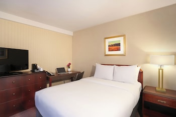 Standard Room, 1 King Bed, Roll-in Shower (Mobility)