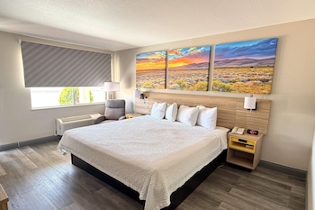 Room, 1 King Bed, Accessible, Non Smoking (Mobility/Hearing, Roll-In Shower)