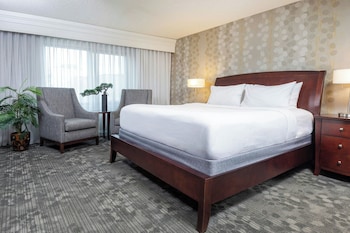 Suite, 1 Bedroom