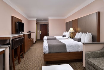 Standard Room, Multiple Beds, Non Smoking, Refrigerator & Microwave (with Sofabed)