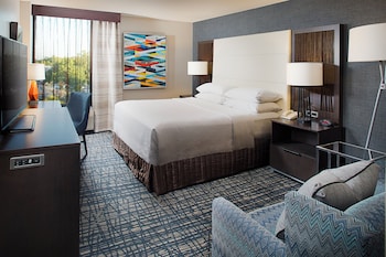 Premium Room, 1 King Bed (Allergen Treated)