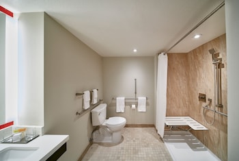 Resort Room, 1 King Bed, Roll-In Shower, Non Smoking