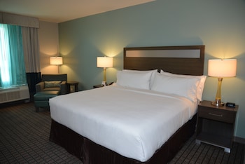 Room, 1 King Bed with Sofa bed, Accessible, Non Smoking (Communications, Mobility, Access Tub)