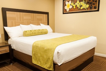 Standard Room, 1 King Bed, Non Smoking, Refrigerator & Microwave (Shower Only)