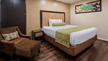 Standard Room, 1 Queen Bed, Accessible, Refrigerator & Microwave