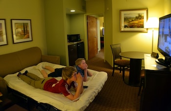 Suite, 1 King Bed with Sofa bed, Non Smoking
