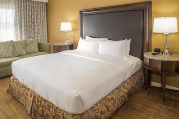Room, 1 King Bed, Airport View