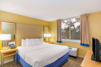 Studio Suite, 1 King Bed, Non Smoking