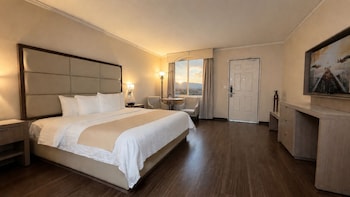 Room, 1 King Bed, Garden View