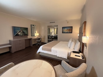 Room, 1 King Bed, Garden View