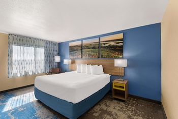 Room, 1 King Bed, Non Smoking