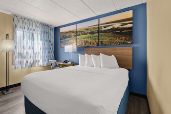 Room, 1 Queen Bed, Non Smoking (Pet-Friendly)
