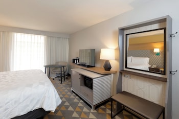 Standard Room, 1 King Bed with Sofa bed