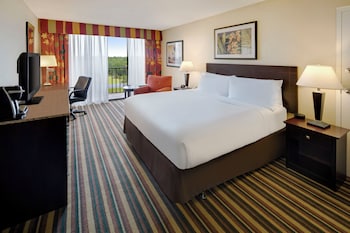 Standard Room, 1 King Bed, Roll-in Shower (Communications Accessible)