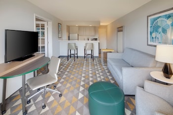 Suite, 1 King Bed with Sofa bed