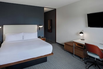 Room, 1 King Bed, Hearing Accessible (Roll-in Shower)