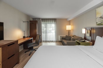 Room, 1 King Bed with Sofa bed, Non Smoking (Upgrade, Pet Friendly)