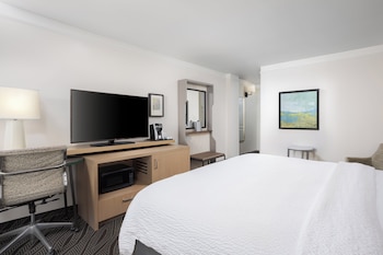 Room, 1 King Bed