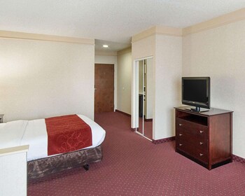 Suite, 1 King Bed with Sofa bed, Accessible, Non Smoking