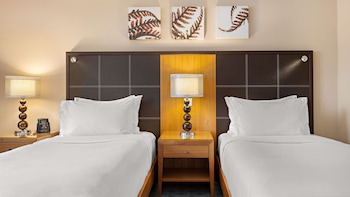 Twin Room (Hilton)