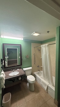 Suite, 1 King Bed, Non Smoking (Efficiency)