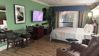Suite, 1 King Bed, Non Smoking (Efficiency)