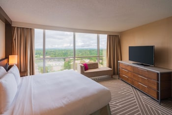 Presidential Suite, 1 Bedroom