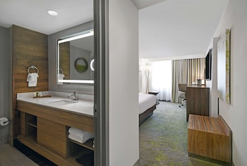 Room, 1 King Bed