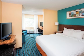 Executive Suite, 1 King Bed with Sofa bed (Mobility/Hearing Access, Transf Shwr)