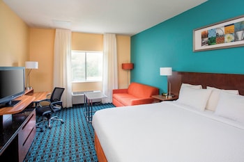 Room, 1 King Bed with Sofa bed