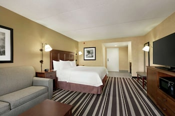 Room, 1 King Bed, Accessible, Non Smoking