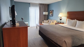 Standard Room, 1 King Bed, Non Smoking