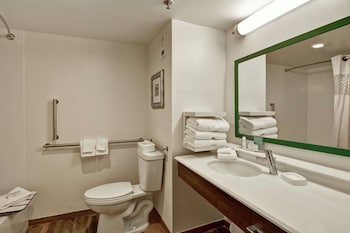 Room, 1 Queen Bed, Accessible, Bathtub