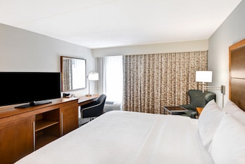 Room, 1 King Bed