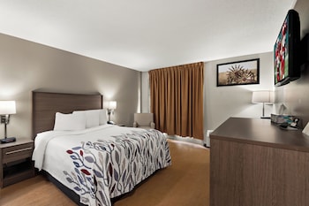 Deluxe Room, 1 Queen Bed with Sofa bed (Smoke Free)