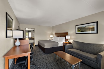 Room, 1 King Bed, Accessible, Non Smoking