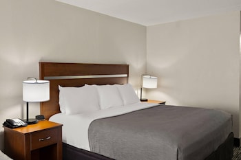 Standard Room, 1 King Bed, Non Smoking