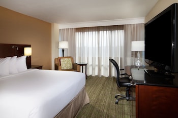 Traditional Room, 1 King Bed (Mobility/Hearing Access, Roll-in Shwr)